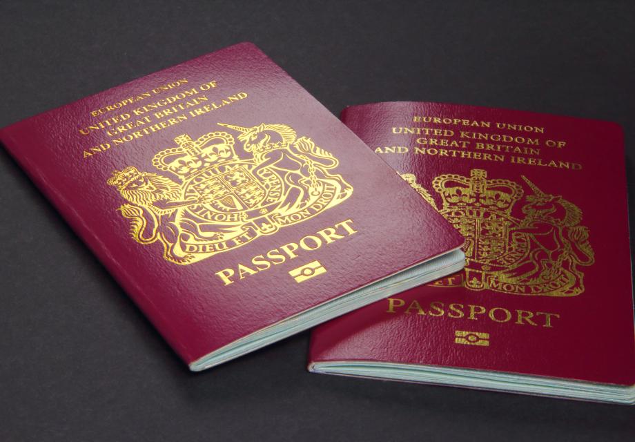 Application for Naturalisation – Case Study