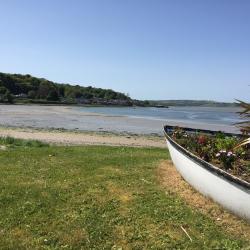 "A Quiet Drinking Village with a Fishing Problem"