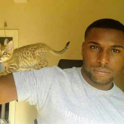 Gavin Brown, a Black man with a fade wearing a white tshirt, is holding out his right arm to the side. A small stripy kitten is balancing on his outstretched arm.