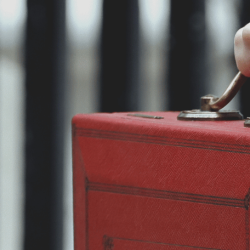 image of woman holding the red dispatch box 