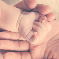 A pair of new parents gently hold their newborn baby's hand