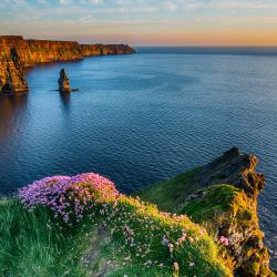 Looking back from Ireland